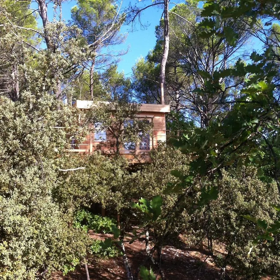 Bed & Breakfast Cabane Des K'Hauts Pins Barjols